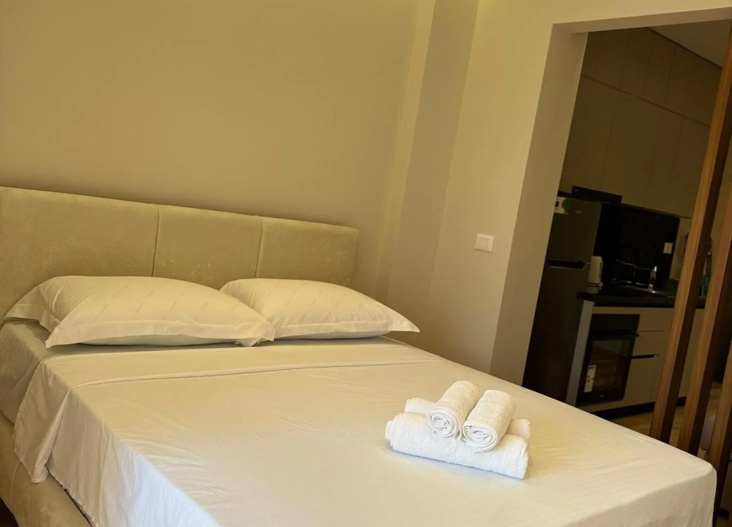 Prayla Luxury Apartment 21 Tirana Albanie